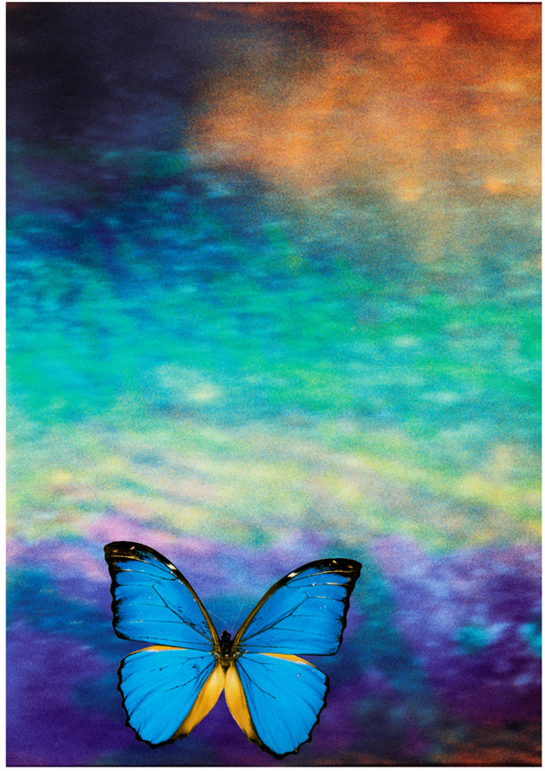 Butterfly Opal 2